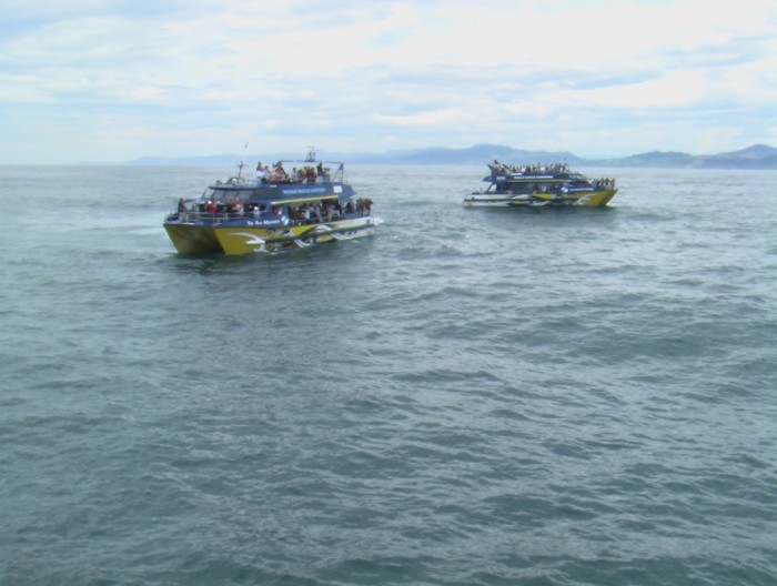 Kaikoura - South Island